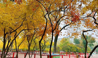 植物公园第 1 张图片