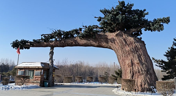 德惠市植物公园