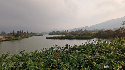 新大河禾塘湿地公园第 2 张图片