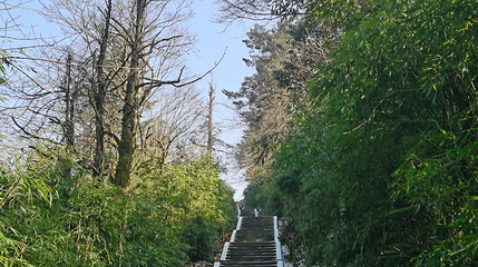 峨眉山-九岭岗生态猴区第 1 张图片