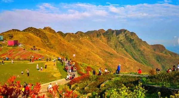 太阳坪映山红景区