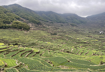 覆卮山景区第 8 张图片