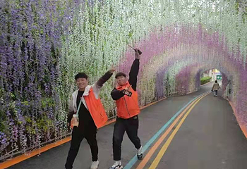 蝴蝶森林王国第 15 张图片
