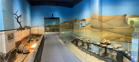 小熊猫口袋动物园