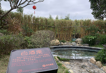 银丰温泉度假村第 15 张图片