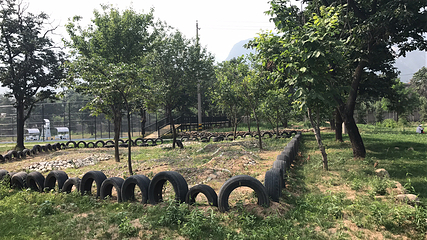 华山自驾露营地(华山景区游客中心店)第 9 张图片