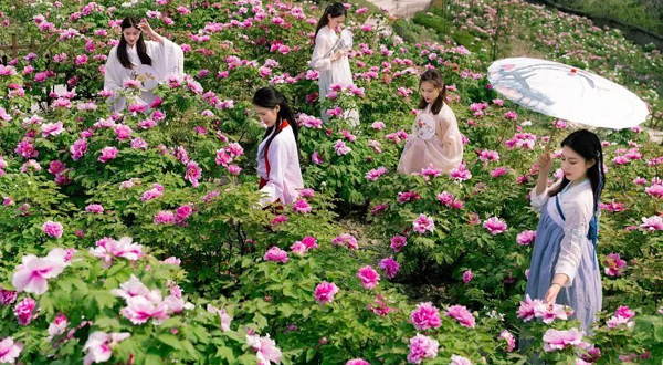 青岛国际牡丹产业园