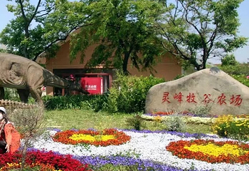 灵峰牧谷农场第 3 张图片