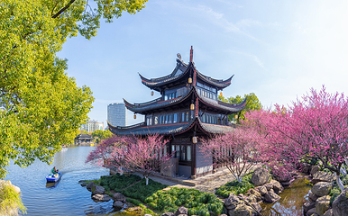 月湖公园第 2 张图片