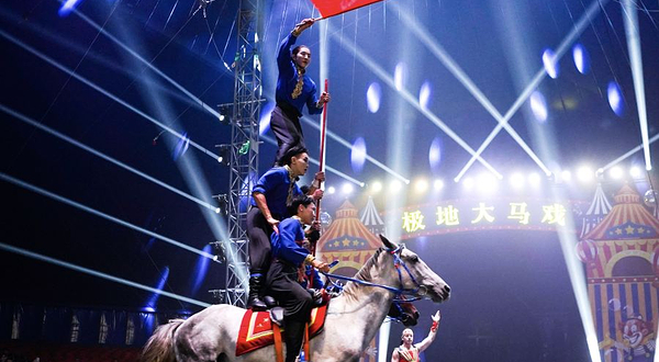 天津极地海洋公园欧洲大马戏