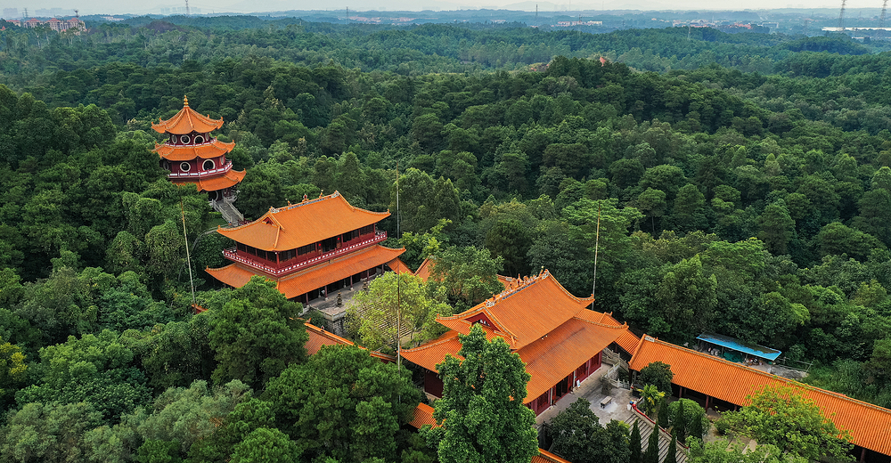 三水森林公园套票(孔圣园 鳄鱼湖)-景区到付 一块去旅行网 景点门票