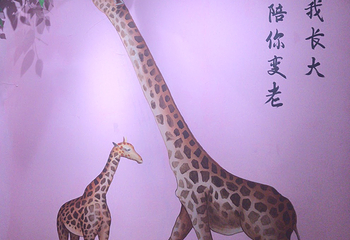 卡萌动物公园(万达广场濮阳店)第 15 张图片