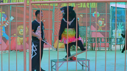盘锦伊珂亚蟹蟹王国第 24 张图片