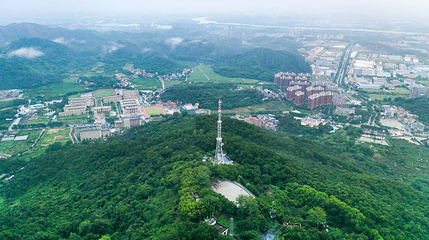 蕉石岭森林公园第 1 张图片