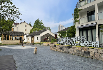 南厍·白相里第 12 张图片