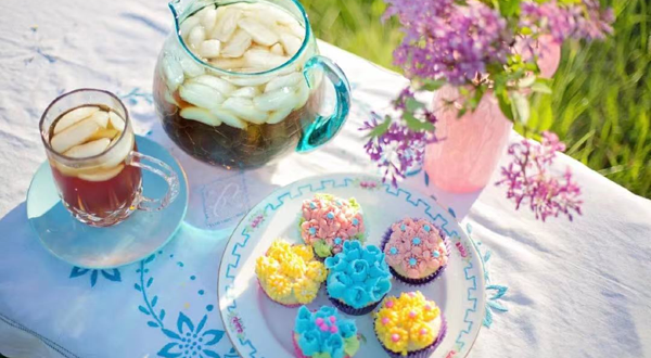 万家欢蓝莓庄园