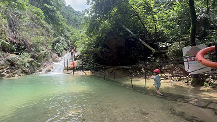 南海湾森林生态园第 6 张图片