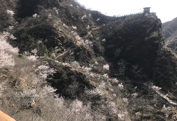 北京药王谷风景区第 64 张图片
