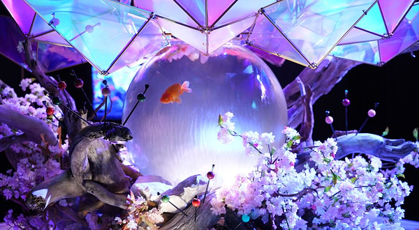 奈良金鱼博物馆