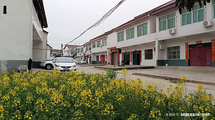 南郑区阳春镇陈村花海景区第 1 张图片