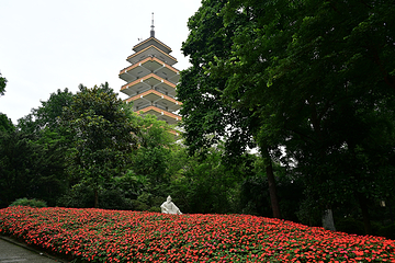鹅岭公园第 15 张图片