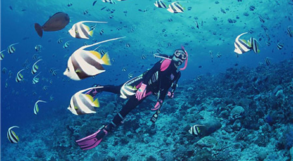 三亚大东海(国际)潜水俱乐部