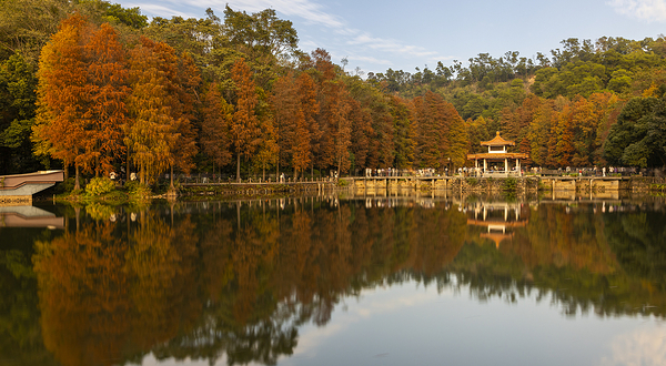仙湖植物园