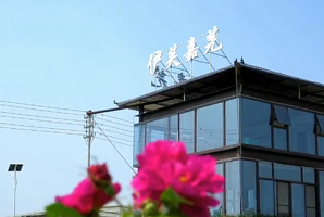 美丽南方·伊芙嘉芫玫瑰园