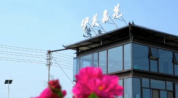 美丽南方·伊芙嘉芫玫瑰园