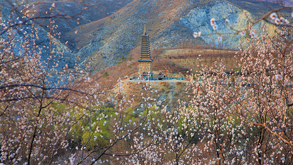 朝阳凤凰山第 3 张图片