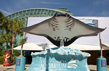 佛州水族馆第 9 张图片