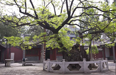 文庙第 4 张图片