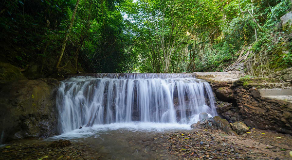 基诺山幽河谷热带雨林景区