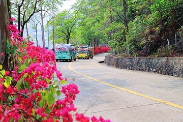 观音山旅游风景区第 172 张图片