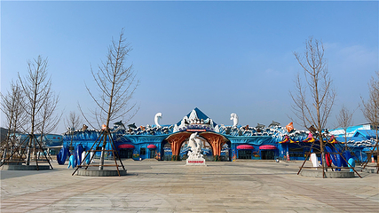 石家庄极地海洋世界第 27 张图片