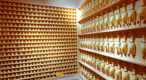 重庆独角兽星空艺术馆