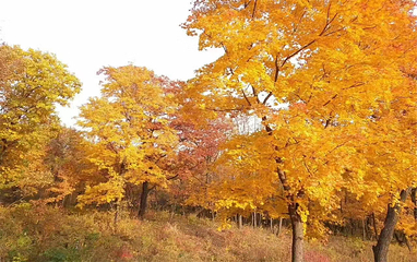 回龙山生态田园旅游区第 6 张图片
