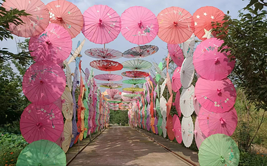 美樱花海第 7 张图片