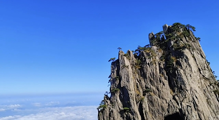 黄山风景区第 355 张图片