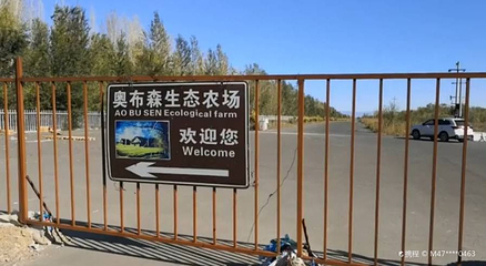 塔城市奥布森生态农场第 1 张图片