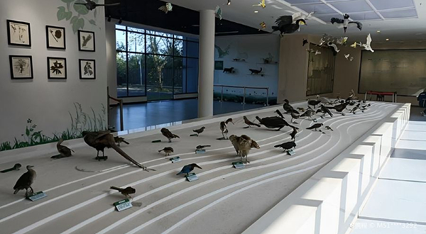 来仪湖国家湿地公园展示馆