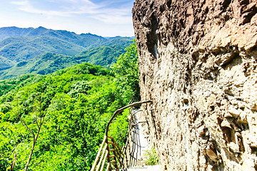 天女山森林公园第 1 张图片
