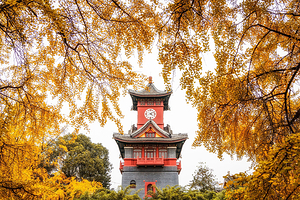 四川大学(望江校区)