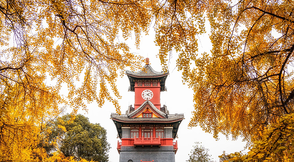 四川大学(望江校区)