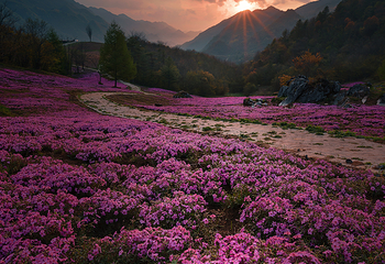 红池坝风景区第 19 张图片
