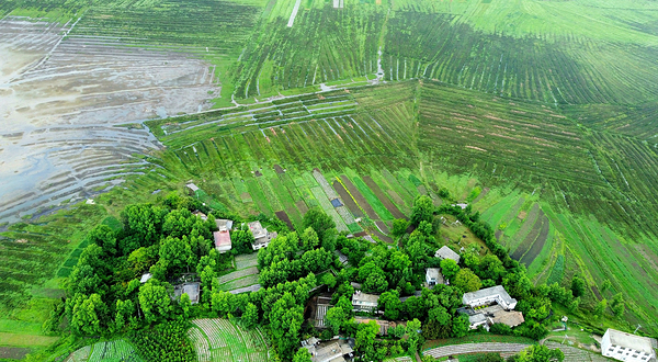 草海国家级自然保护区