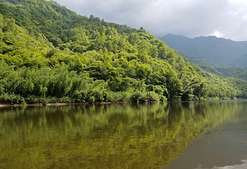 阳坝自然风景区第 11 张图片