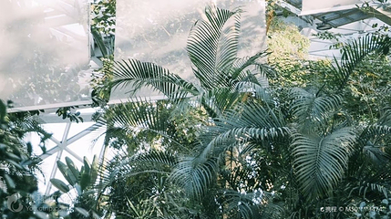 植物风情馆第 3 张图片