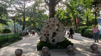 安丘植物园第 3 张图片