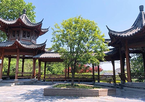 铜陵市铜官山森林公园